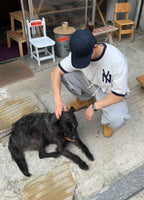 復古 刺繡 短版 NY Ringer 短袖 T恤 / 3色 - WHATEVER STUDIO